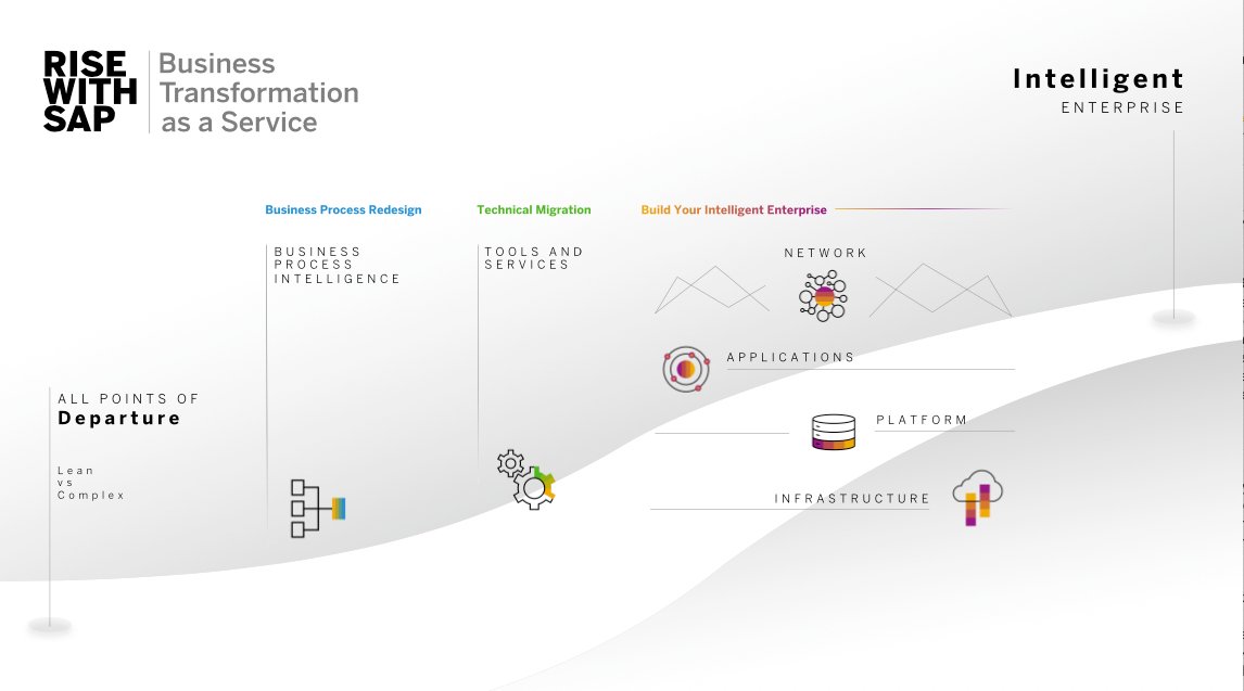 Transforming Business into Intelligent Enterprise - Rise with SAP